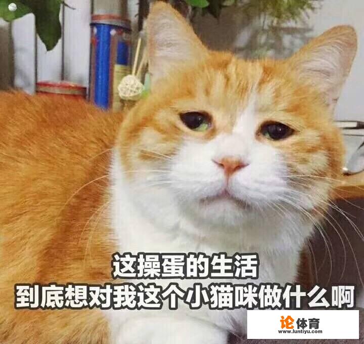 明天大巴黎和皇马会出现大比分吗