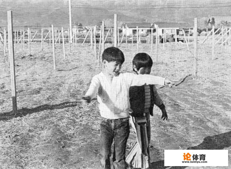 乒乓球自动怎么练? 乒乓球自动怎么练?