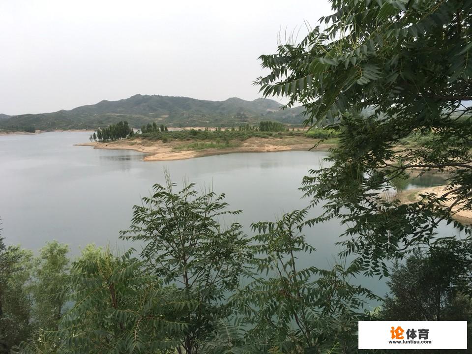 什么游泳姿势最不累? 什么游泳姿势最不累?