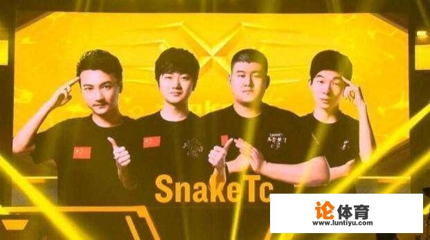 陈赫战队SnakeTC夺得绝地求生天命杯冠军，堡垒用冠军证明自己，对此你怎么看？