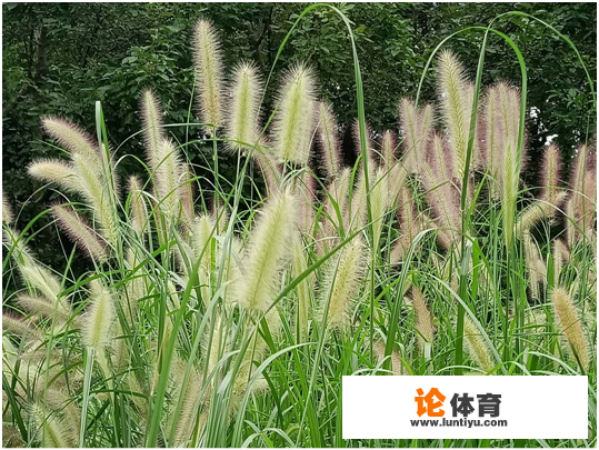 北京望京都有什么好玩的? 北京望京都有什么好玩的?