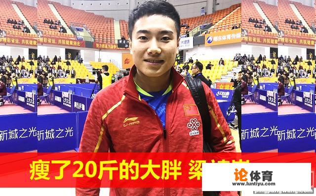 樊振东黄石锦标赛参赛吗？