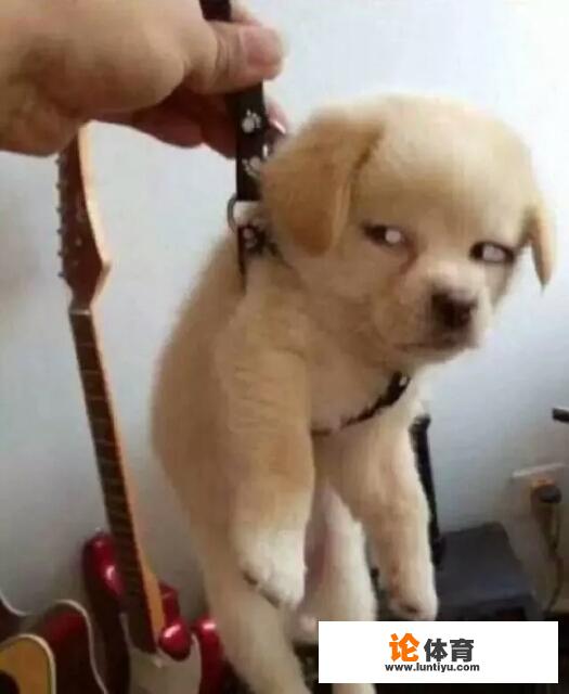 石家庄适合情侣旅游的地方有哪些? 石家庄适合情侣旅游的地方有哪些?