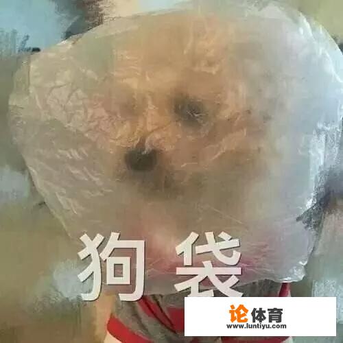 石家庄适合情侣旅游的地方有哪些? 石家庄适合情侣旅游的地方有哪些?