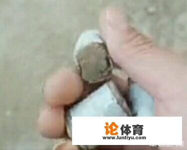 农运会什么时候举行啊? 农运会什么时候举行啊?