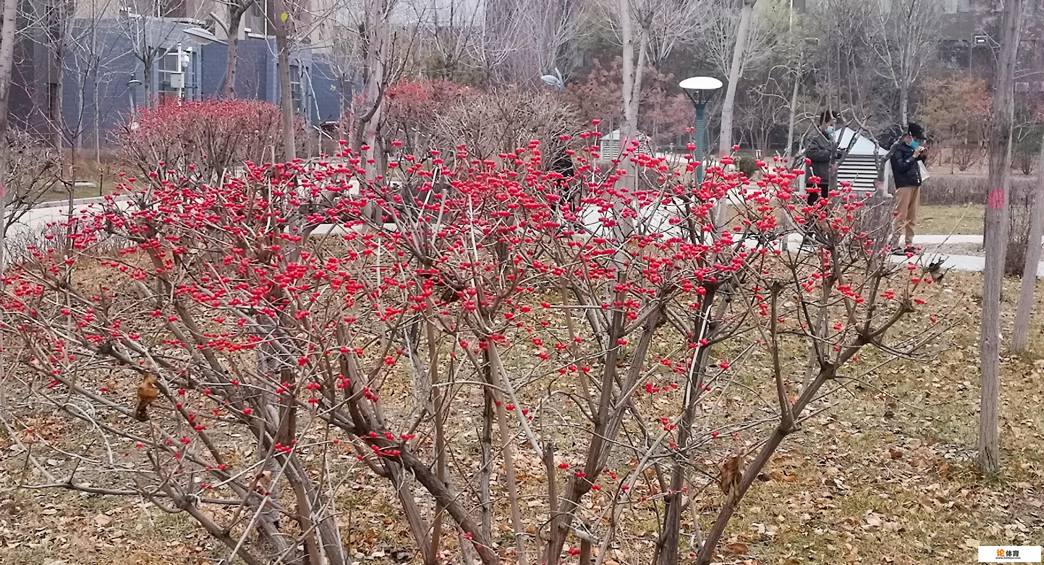 克罗地亚是不是欧洲的? 克罗地亚是不是欧洲的?