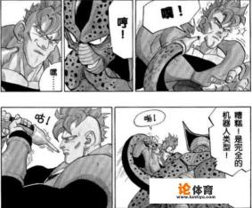 龙珠16号多高? 龙珠16号多高?