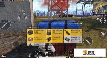 网易游戏0杀吃鸡是什么意思？