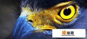 大运会女排为什么没有鹰眼挑战？