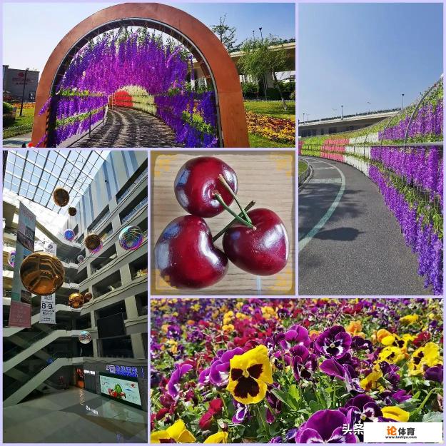 5.1上海人可以去浙江玩吗?回来要隔离吗? 5.1上海人可以去浙江玩吗?回来要隔离吗?