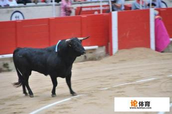 你怎样看待西班牙斗牛? 你怎样看待西班牙斗牛?