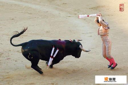 你怎样看待西班牙斗牛? 你怎样看待西班牙斗牛?