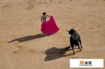你怎样看待西班牙斗牛? 你怎样看待西班牙斗牛?