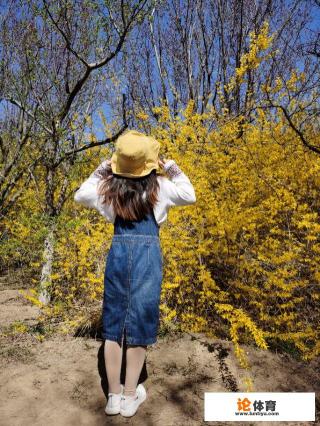 有趣有盼，不负心中热爱是什么意思？