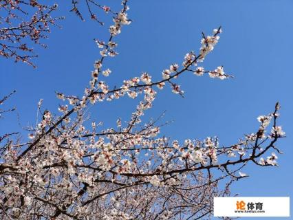 有趣有盼，不负心中热爱是什么意思？