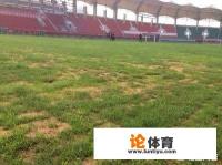 中超13轮，河南建业2-2逼平上海申花，“菜地”主场是否帮助了建业？